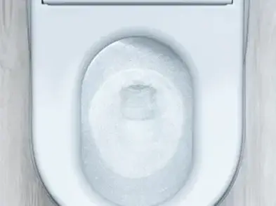 引用元：https://jp.toto.com/products/toilet/neorest/