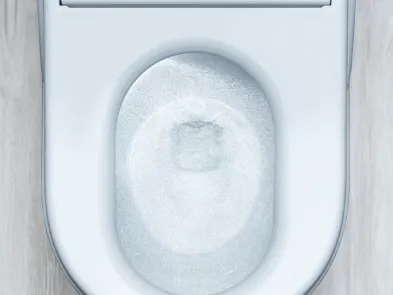 引用元：https://jp.toto.com/products/toilet/neorest/