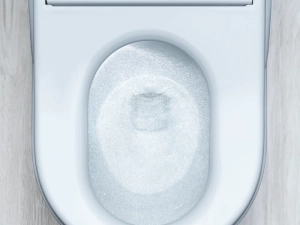 引用元：https://jp.toto.com/products/toilet/neorest/