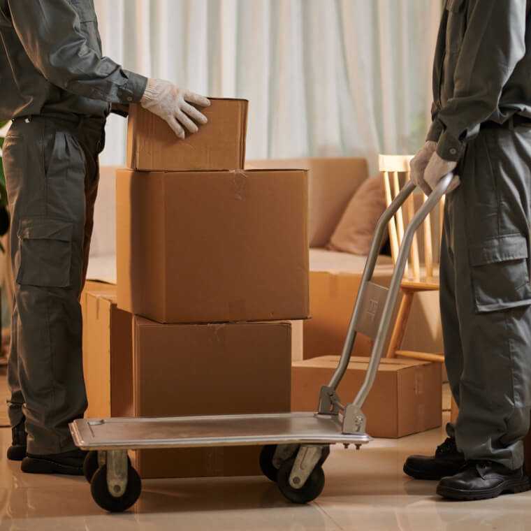 引渡し・引越し